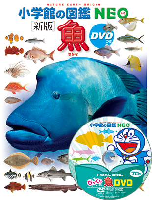 小学館の図鑑 NEO 魚